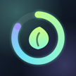 Kaka icon